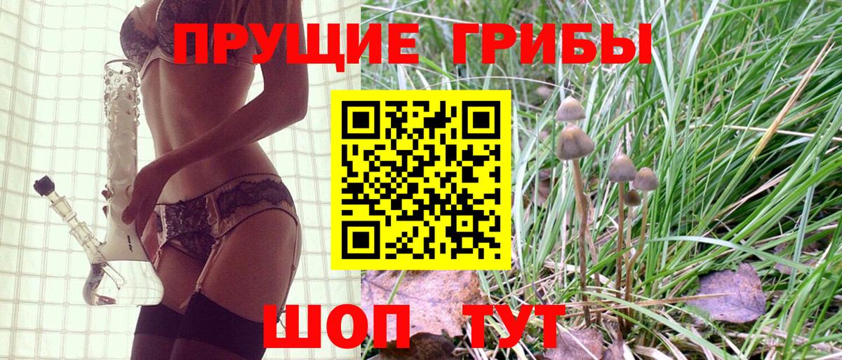 как найти наркотики  Галлюциногенные грибы мухоморы  Кольчугино  Вход с VPN  Псилоцибиновые грибы Cubensis 